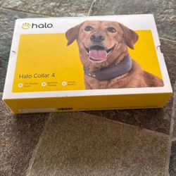 Brand New Halo Collar 4
