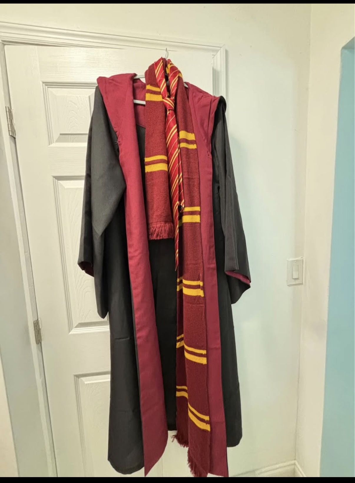 Disfraz De Harry Potter