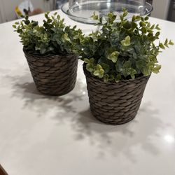 Fake Decorative Plant 