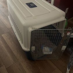 Kennel 