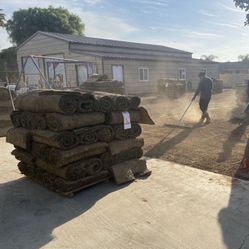 Tall Fescue 400SqFt $450