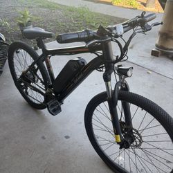 Totguard Electric Bike 