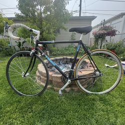 Trek 