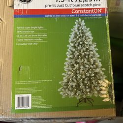 Christmas Tree