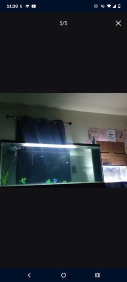 120 gallon fish tank for sale