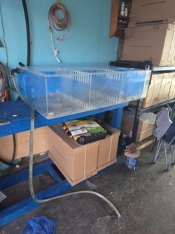 Fish Tank Supplies