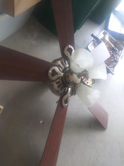 Ceiling fan
