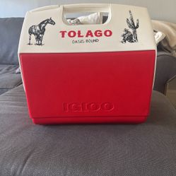 New Igloo Cooler 