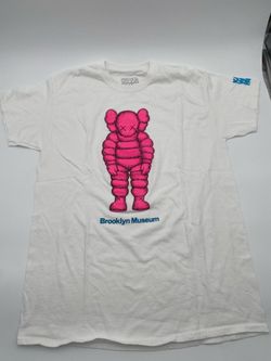 Kaws Tshirt