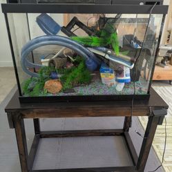 Fishtank + Supplies