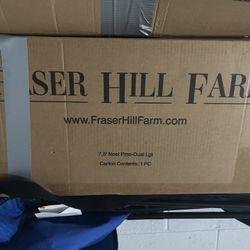 Lighted Christmas tree