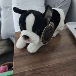 Schwarz Boston Terrier Puppy Dog Plush 