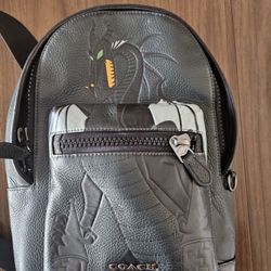 Disney Coach Bag