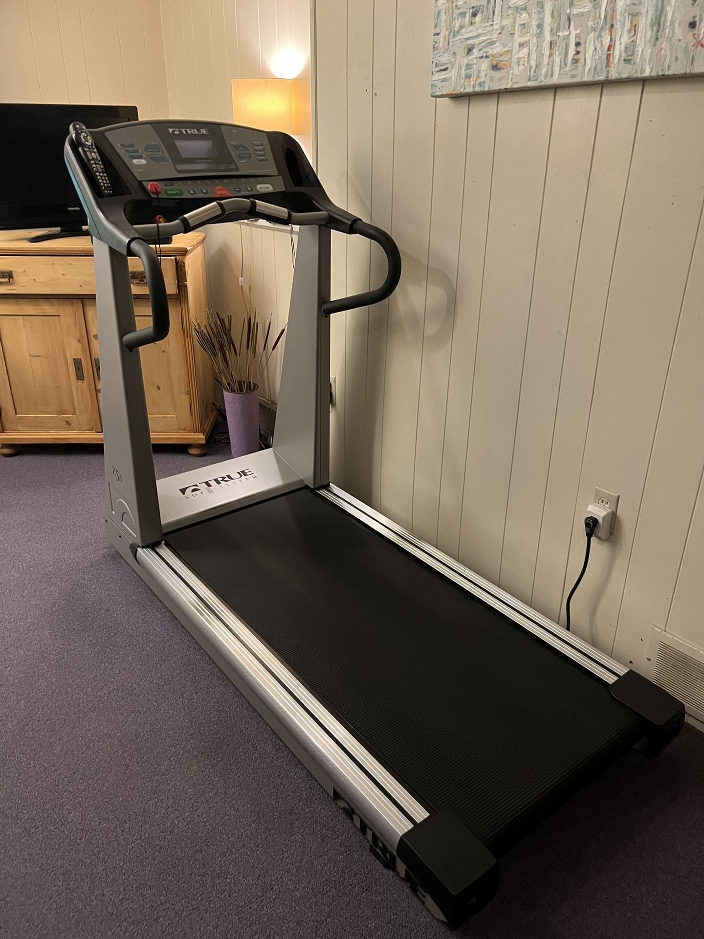 True Z5.4 Treadmill—Great Working Condition Extra wide tread Not as long as most Last serviced 6/2022 29.5w x 68 long Smoke and pet free household