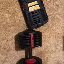 Flex SmartBell Dumbbell 