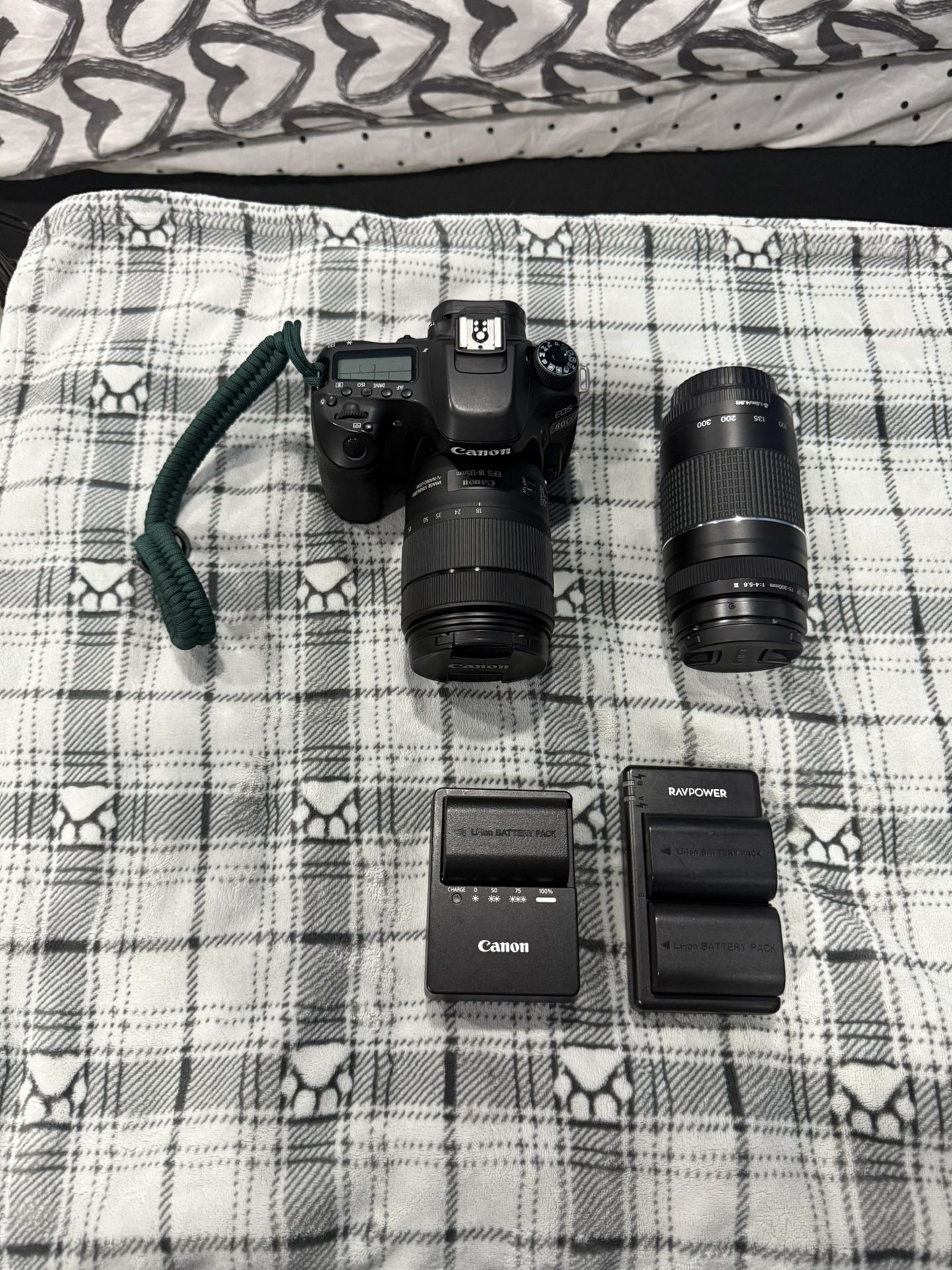 Canon 80D With Two Lenses And Batteries