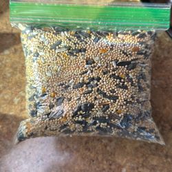 Bird Seeds
