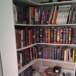 Corner Bookshelf 