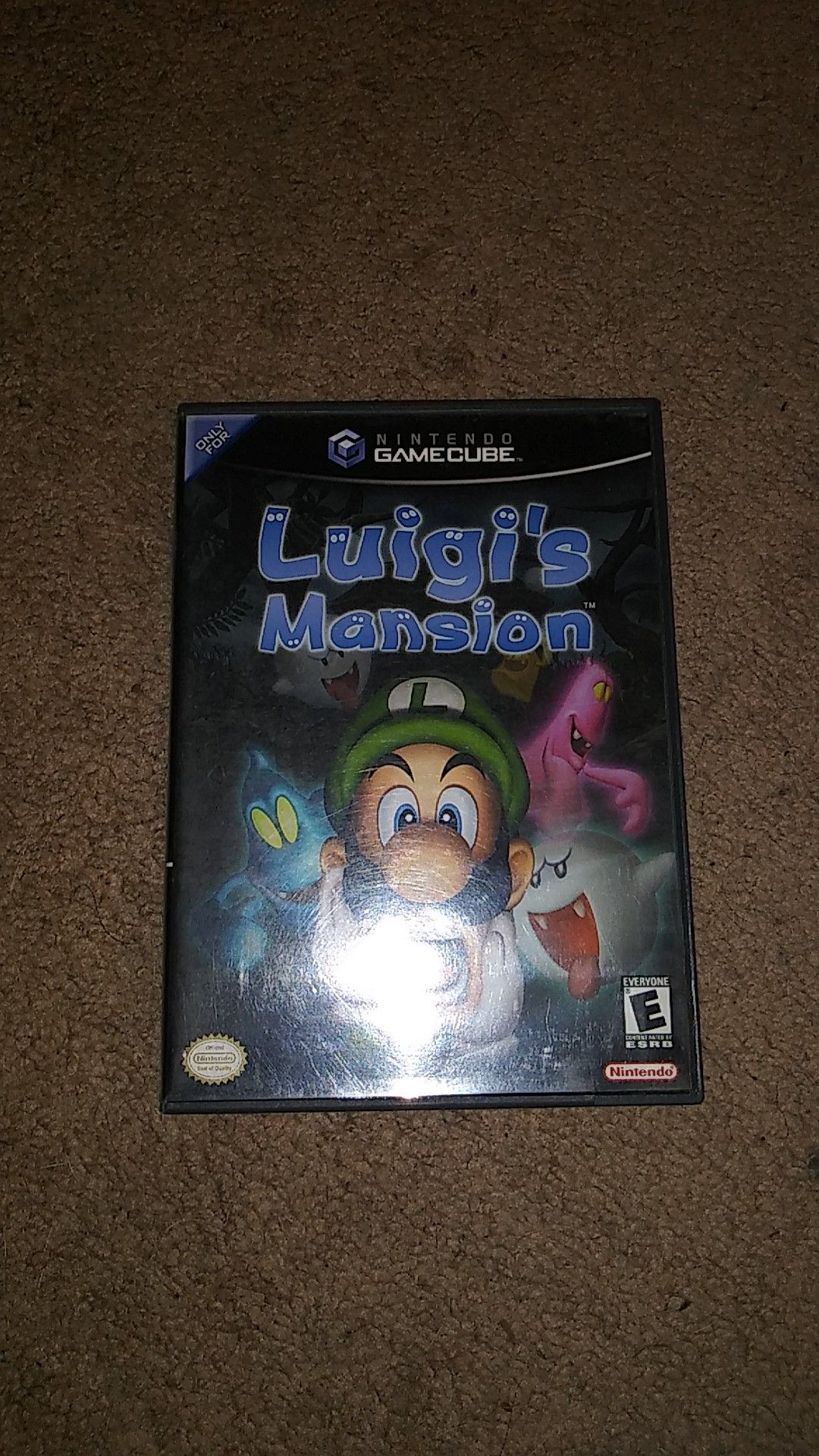 Luigi's mansion