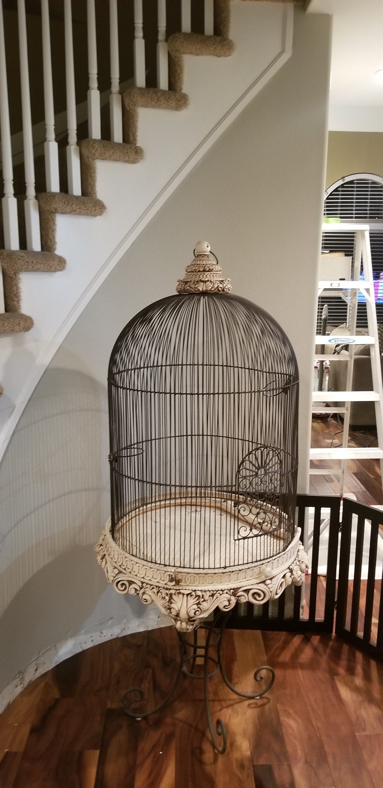 Beautiful bird cage