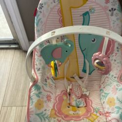 Infant to Toddler Rocker