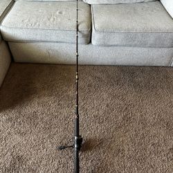 Daiwa Rod And Okuma Reel 