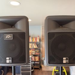 2 Peavy PA speakers