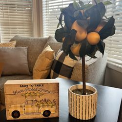 Lemon Home Decor-both pieces