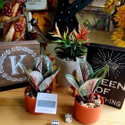 Target Faux Mini Plants 