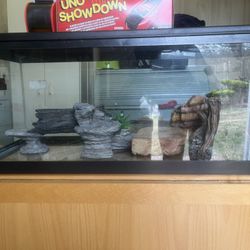 Lizard Cage