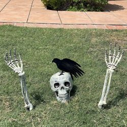 Halloween Decorations Skeleton Stakes with Crow Set, Groundbreakers for Best Halloween Yard Decorations Outdoor Graveyard