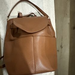 Cuyana leather backpack in tan