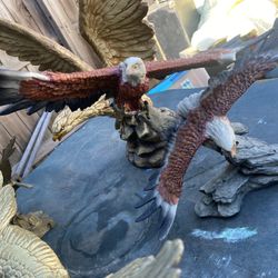 (Not Free Make Offer) Eagles