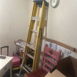 6ft Ladder 