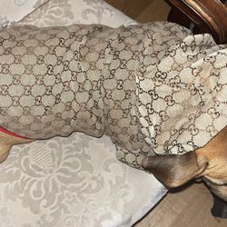 Dog Jacket Size Large 