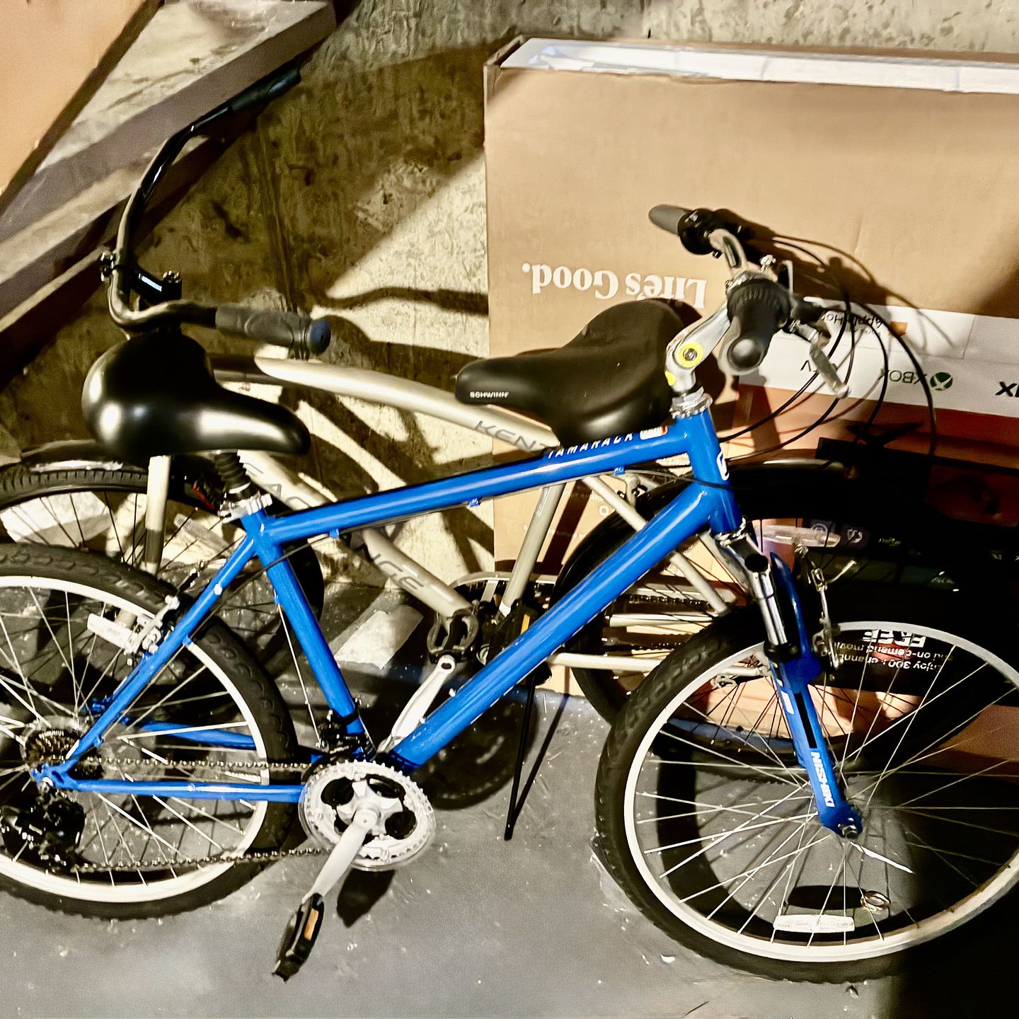 Bicycle