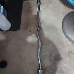 Curl Bar $70, Olympic Bar $99 + Other Weight Training Equipment 