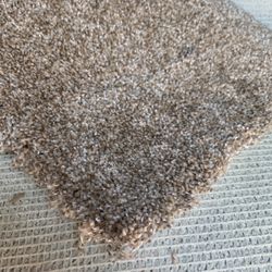 Carpet For Sale 
