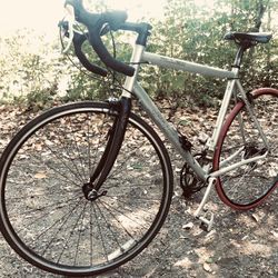 Specialized Allez S Full Carbon Fork Racing Bike