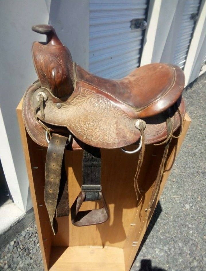 Sisterhood of The Traveling Saddle 