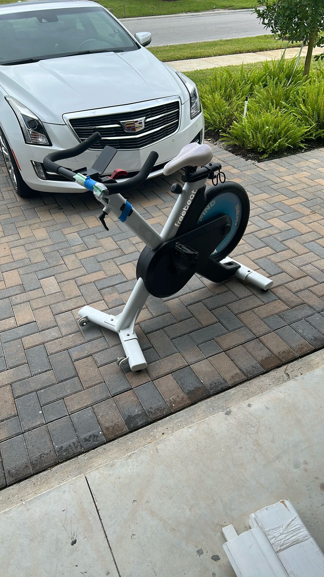 Exercise, bike, free bait