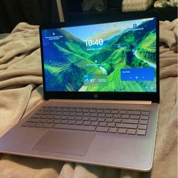HP Pink Laptop 