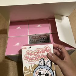 Labubu 2 Boxes Macarons AUTHENTIC