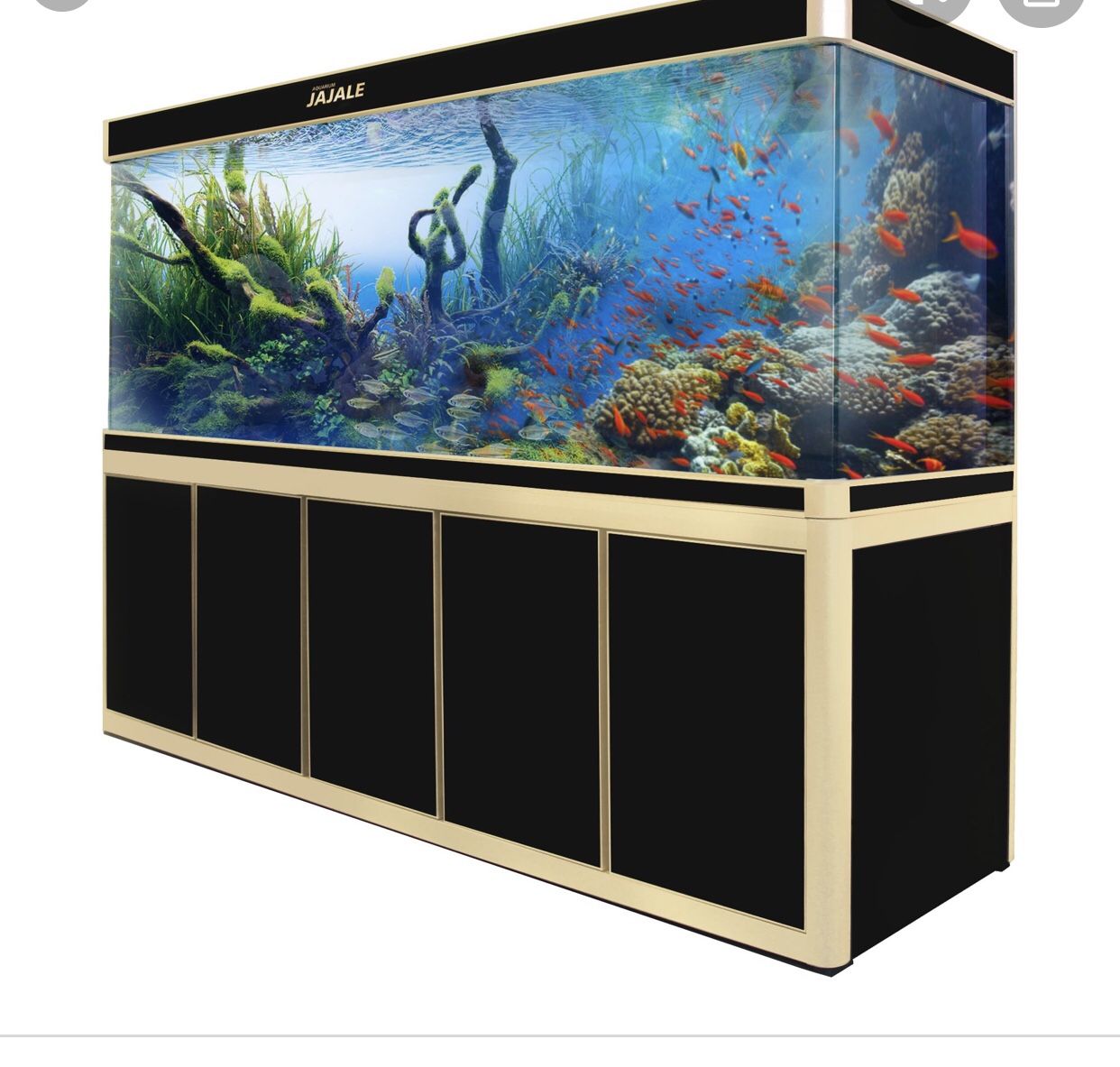 Fish tank