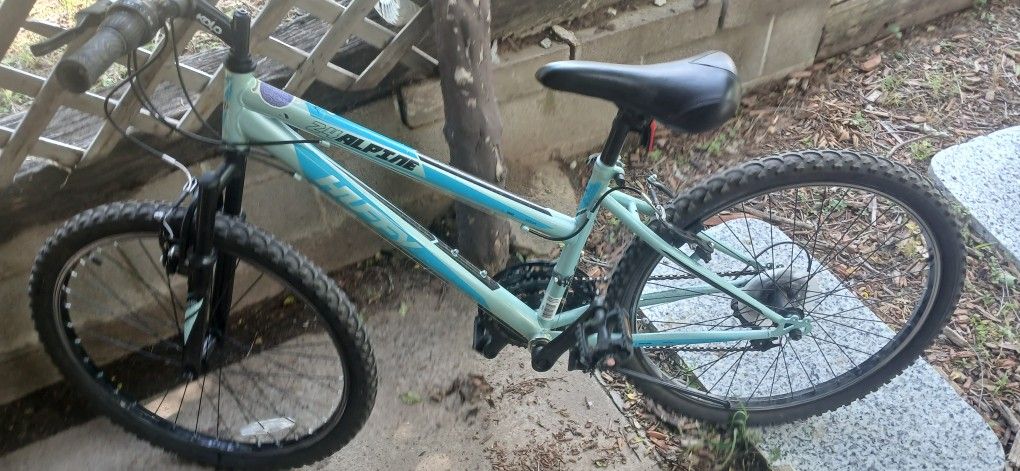 Alpine Huffy Bicycle