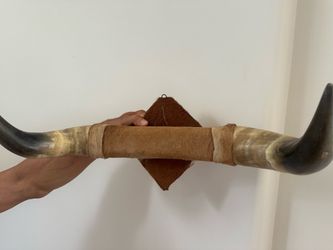 Mounted Steer Horns