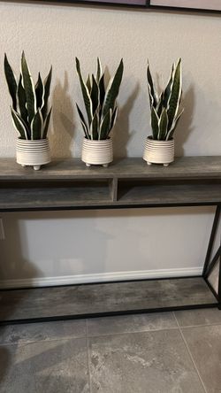 Console table 47”*9”*30”and  3 pots of tiger tongue tree