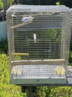 CAGE