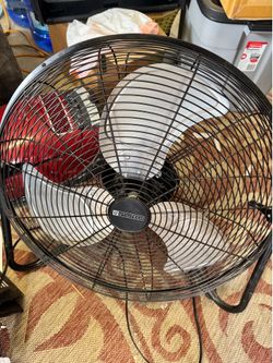 Fan