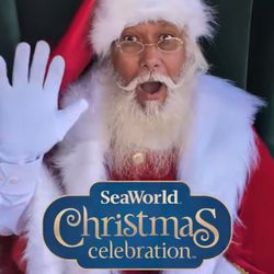 🎄🌊x13 SEAWORLD SANDIEGO 🎟️🦭🐙